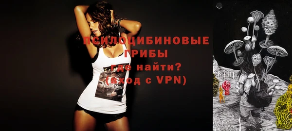 шишки Медногорск