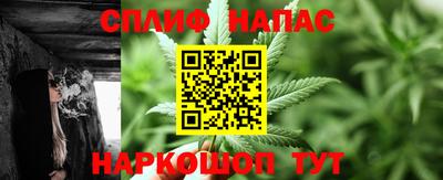 стаф Краснодар