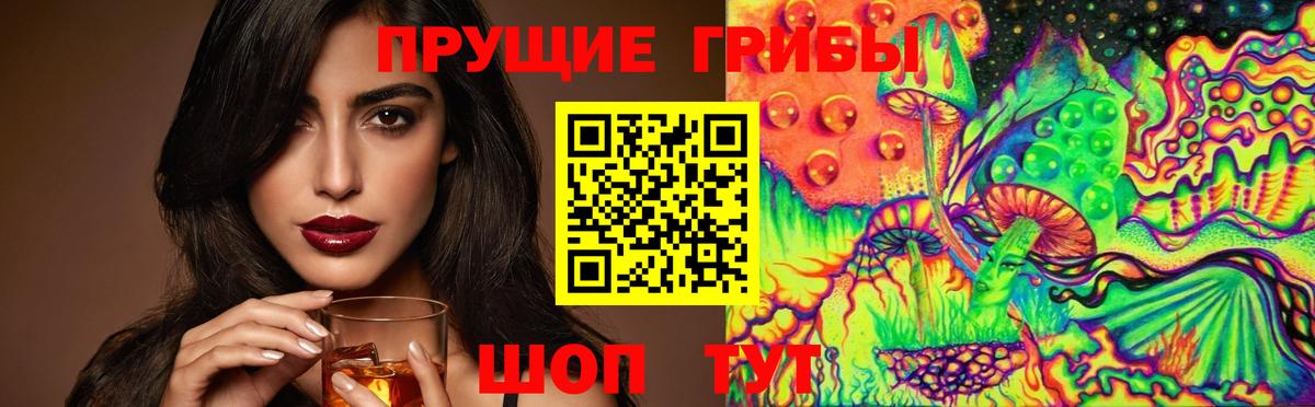 Псилоцибиновые грибы Psilocybine cubensis  Вход с VPN  Майкоп 